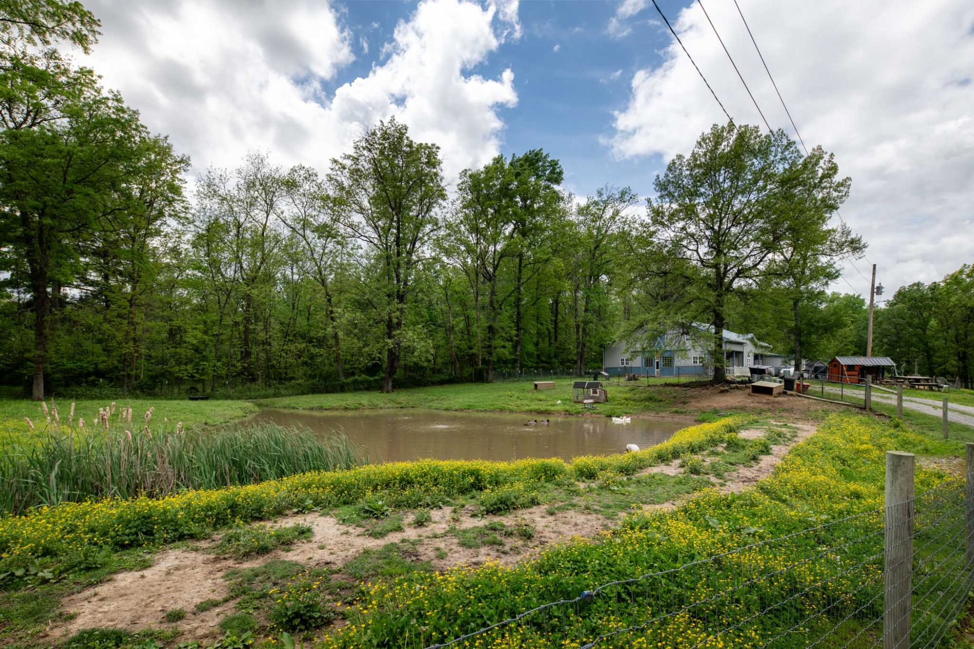 Lot image 37