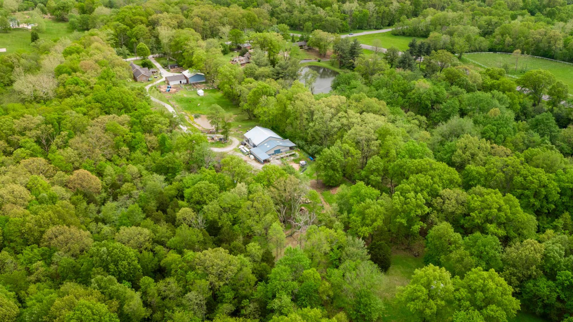 Lot image 6