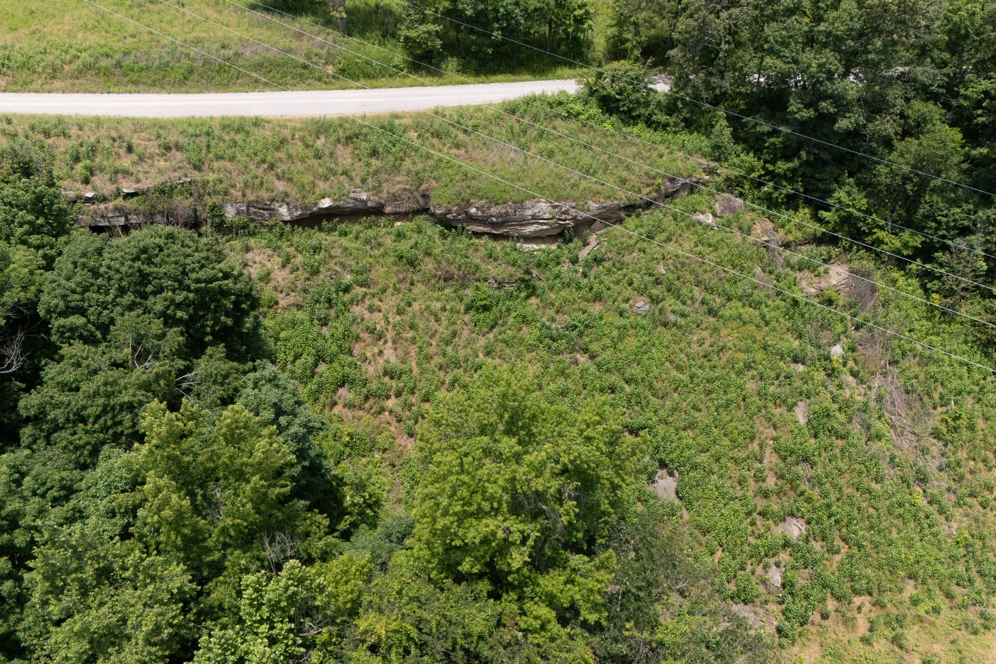 Lot image 19