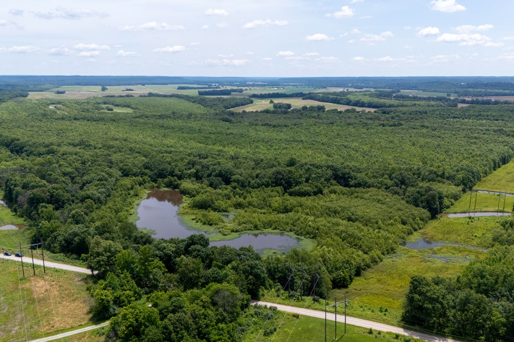 Lot image 11