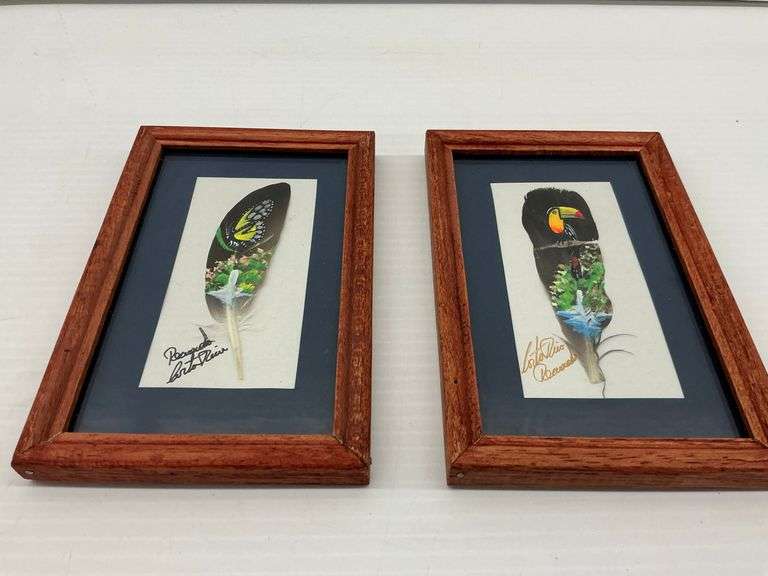 Pair of Framed Feather Art Paintings: Toucan and Butterfly image