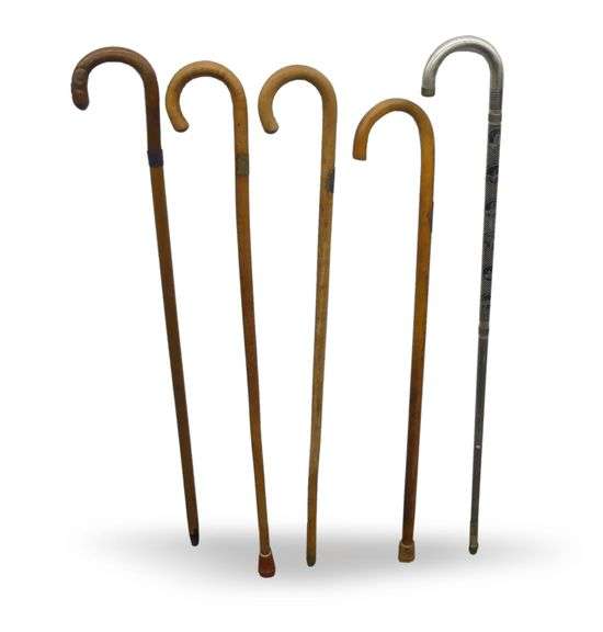 Century of Progress Chicago Souvenir Walking Sticks image
