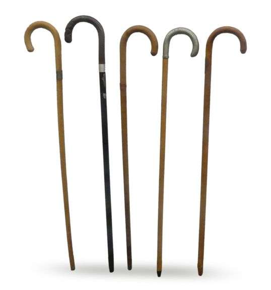 Five Walking Sticks from A Century of Progress, 1933-1934 Chicago World's Fair image