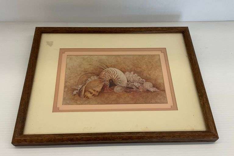 Framed Limited Edition Print of Seashells by Franklin image