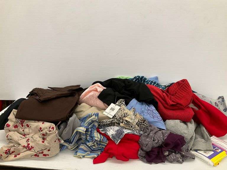 Variety of Women's Clothing - Mixed Sizes and Styles image