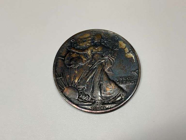 1989 US Silver Eagle One Dollar Coin image