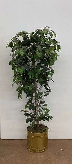 Faux Ficus Tree in Planter image
