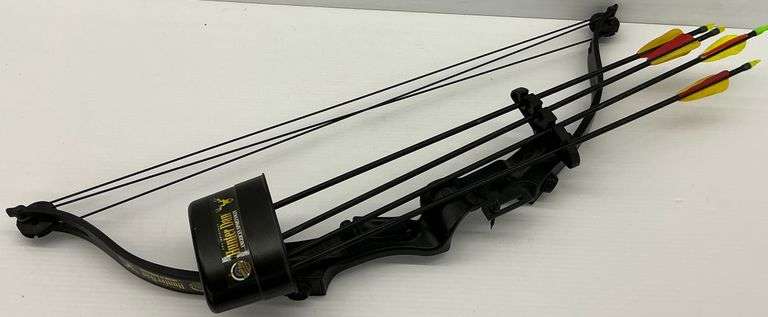 Hunter Dan Bullseye Compound Bow with Arrows image