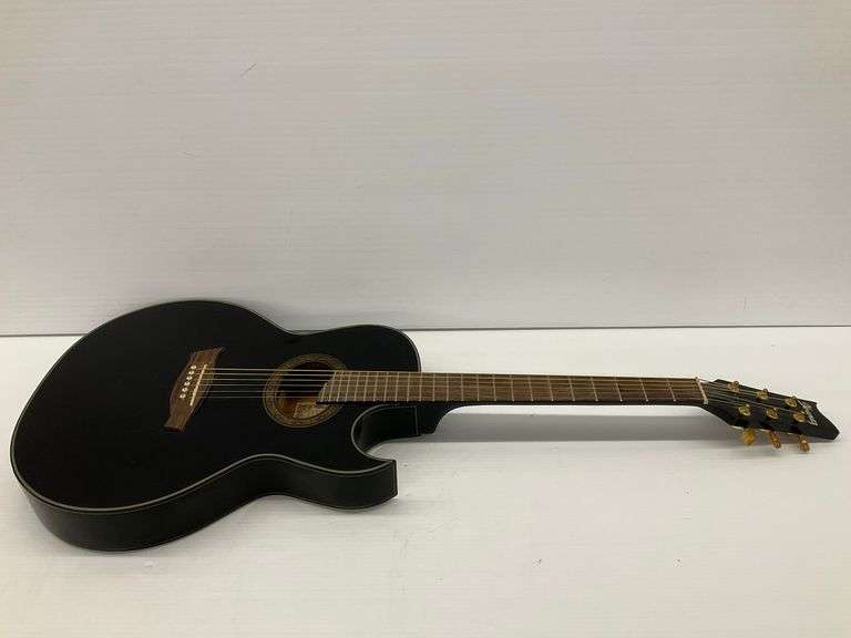 Ibanez Euphoria Steve Vai Signature Model EP5-BP-27-01 Acoustic Guitar image