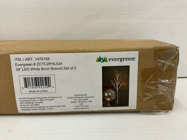 New Evergreen 39 in. LED White Birch Branch Set of 2 image