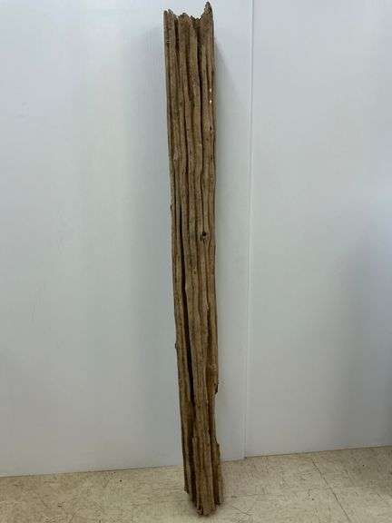 Unique Natural Driftwood Sculpture  6 ft. Long image