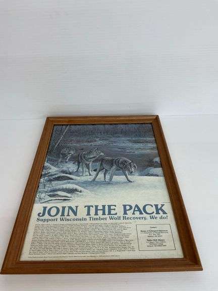 Framed Print - Join the Pack - Wisconsin Timber Wolf Recovery...see photos for condition image
