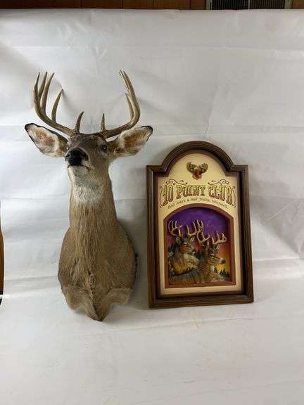 Deer Mount and deer sign image