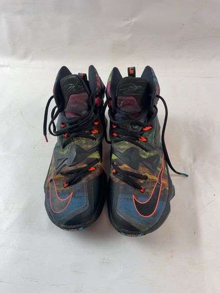 Nike LeBron James 13” Akronite sneakers image