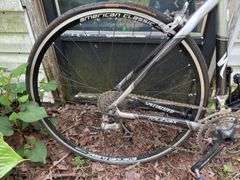 Specialized Roubaix Bicycle