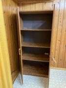 Wood Grain Double Door Storage Cabinet