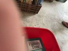 Collection of Books in Red Tote