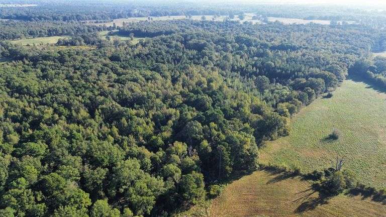 Parcel 1 - 68.33ac +/- Land on Schaal Rd Mineral Springs, AR image