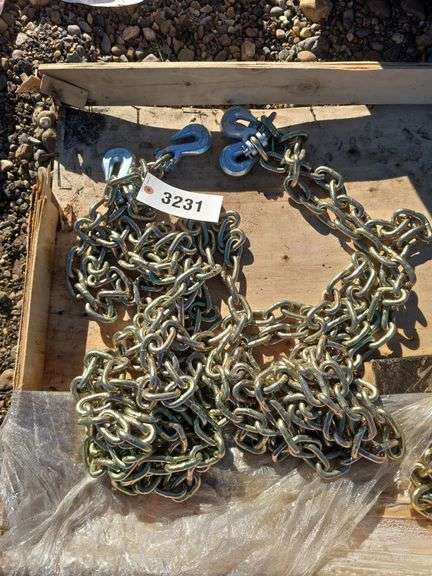 (2) 5/16 chains 20' long Grade 70 w/hooks image