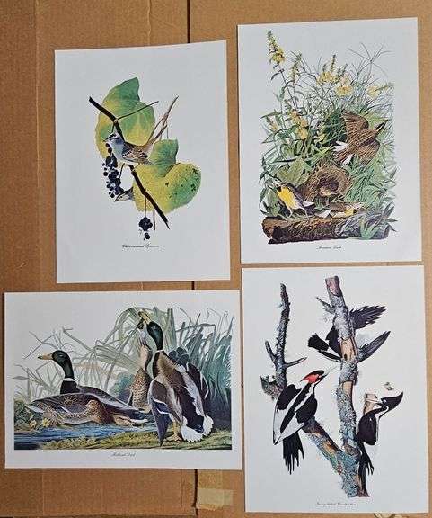 Set of 4 Vintage Bird Prints image