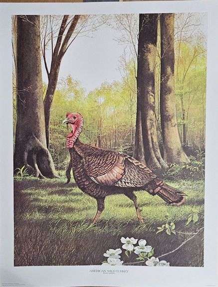 “The American Wild Turkey” by Ralph J. McDonald – 1776 Bicentennial Series (#828/1776) image