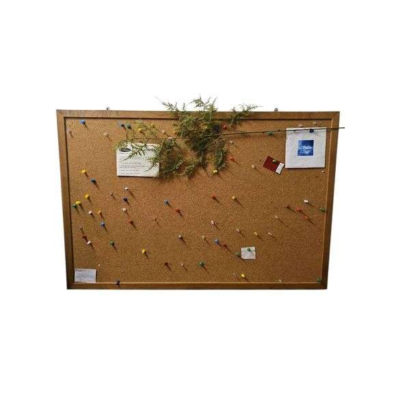 Cork Board image