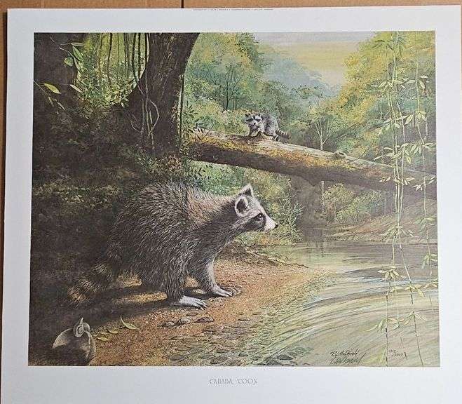 Cahaba ’Coon” by Ralph J. McDonald – Limited Edition Wildlife Print (#1513/2000) image