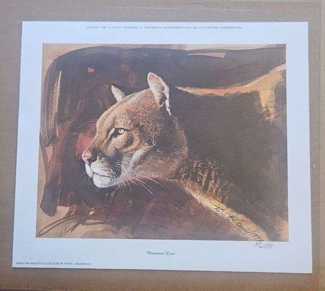 Mountain Lion” by Ralph J. McDonald (1980) – Wildlife Art Print image