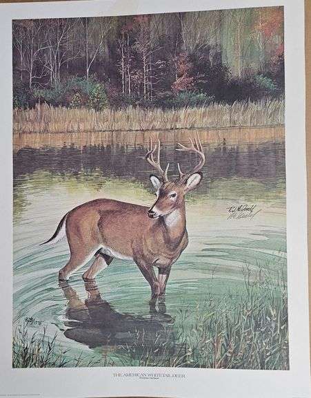 “The American Whitetail Deer” by Ralph J. McDonald – 1776 Series (#828/1776) image