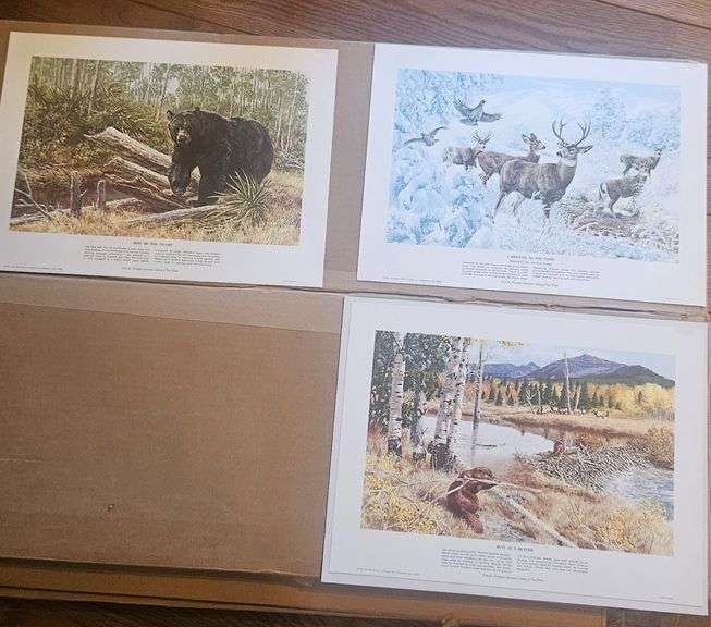 Set of 3 – 1974 Remington Sportsmen’s Library Wildlife Prints image