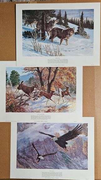 A Tribute to Wildlife Management – Remington Wildlife Art Portfolio (1978) image