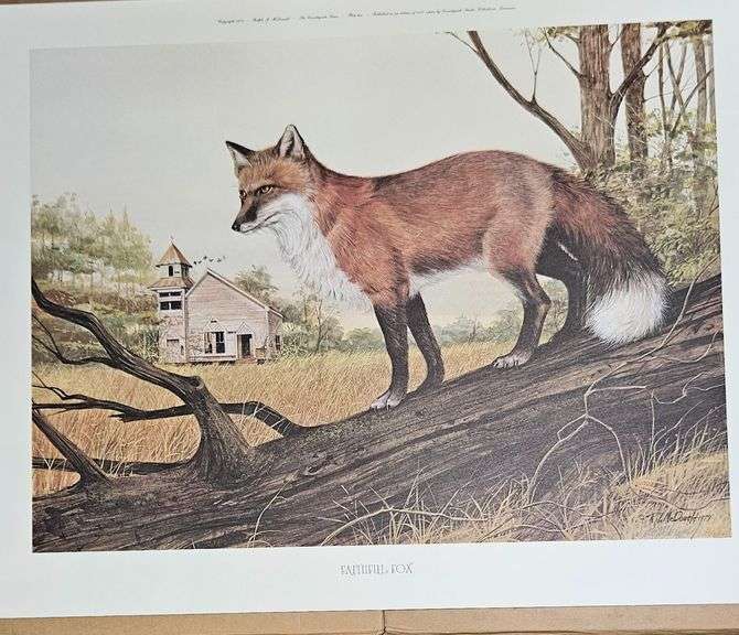 “Faithful Fox” – Limited Edition Print by Ralph J. McDonal image