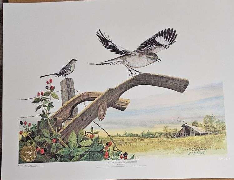 “The Tennessee Mockingbird” by Ralph J. McDonald – Official State Wildlife Print (1972) image
