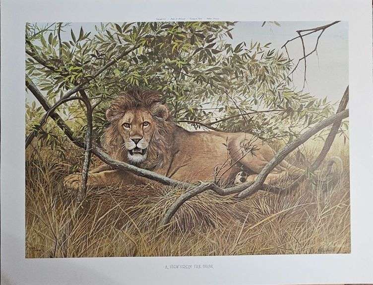 “A View from the Bush” by Ralph J. McDonald – Limited Edition (#1383/1500) image