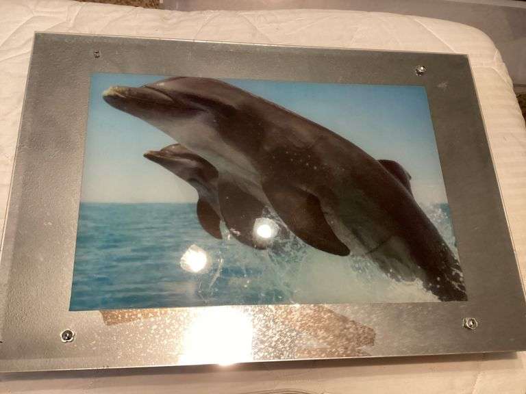 Dolphin Picture Light image