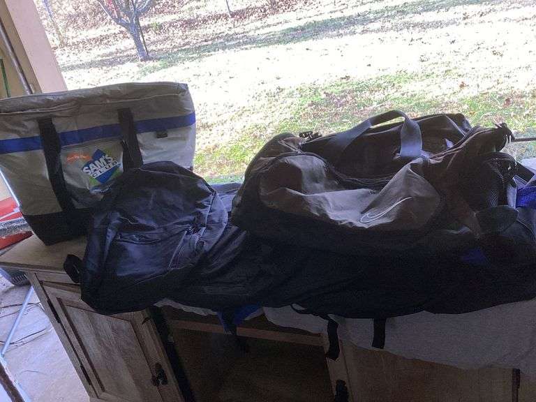 Assorted Bags and Cooler Lot image