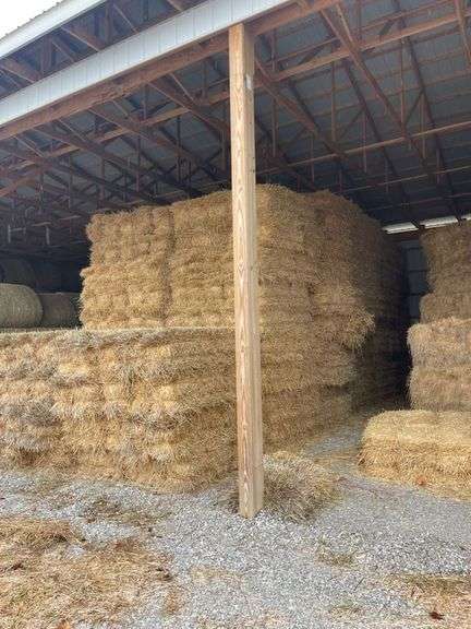 800 Small Square Bales - Wheat Straw image
