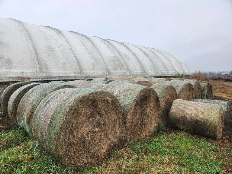 285 Rolls Mixed Grass image