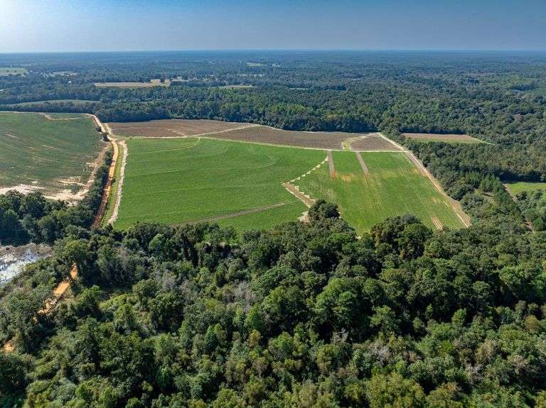 Excellent 69± Acres Excellent Cropland & Recreation | Colquitt Co., GA image