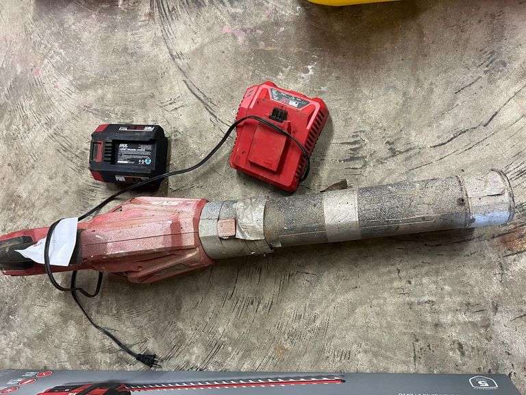 Skil Blower with Battery & Charger image