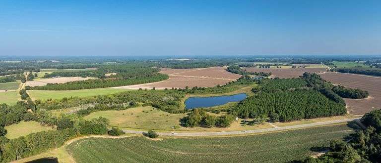 137± Acres | Prime Agricultural Land | Colquitt Co., GA image