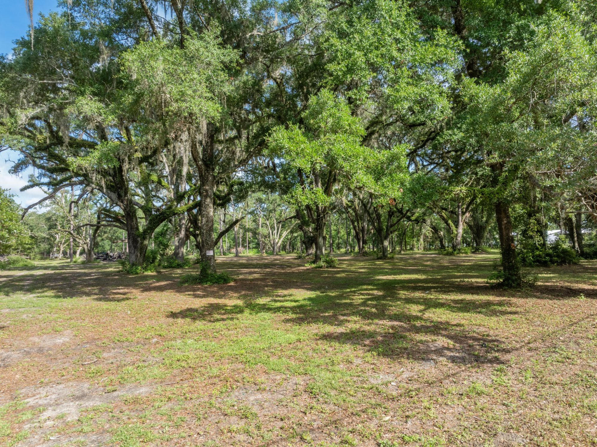 Lot image 7