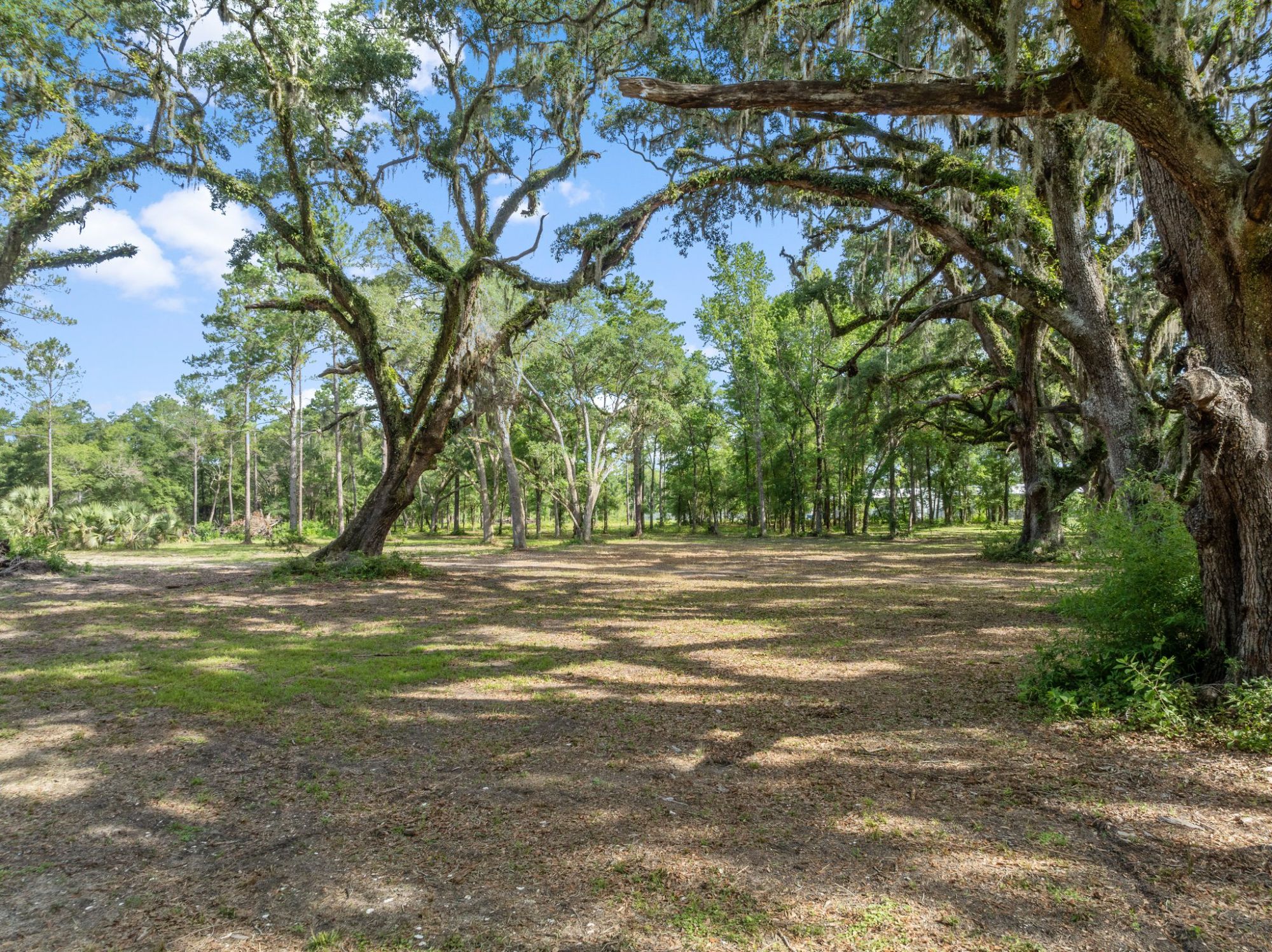 Lot image 8