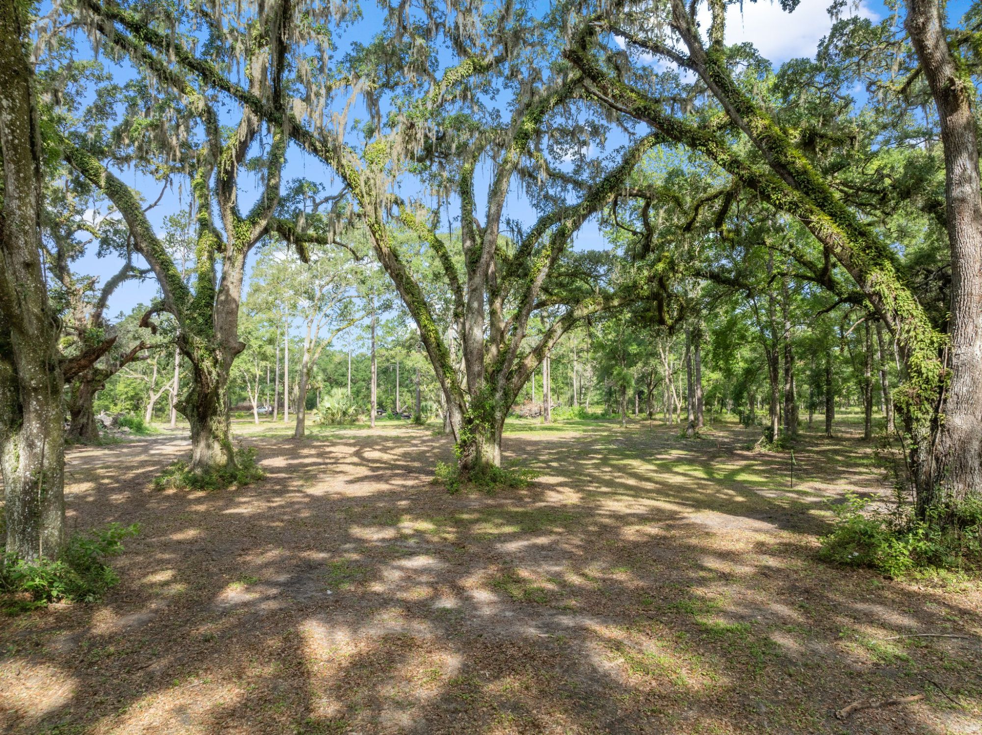 Lot image 5