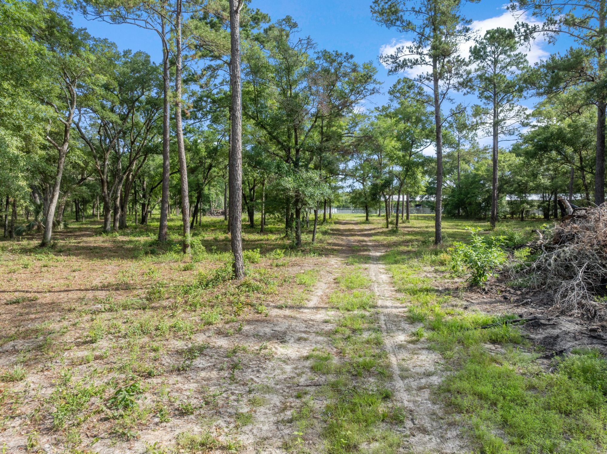 Lot image 4