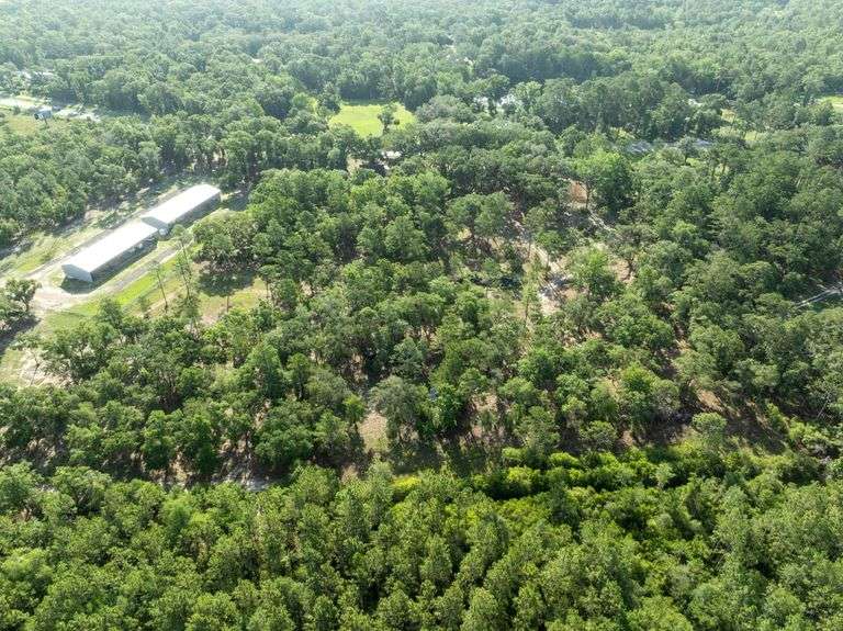 5.60± Acre Dream Tract Along Coastal Highway