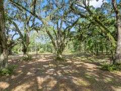 5.60± Acre Dream Tract Along Coastal Highway