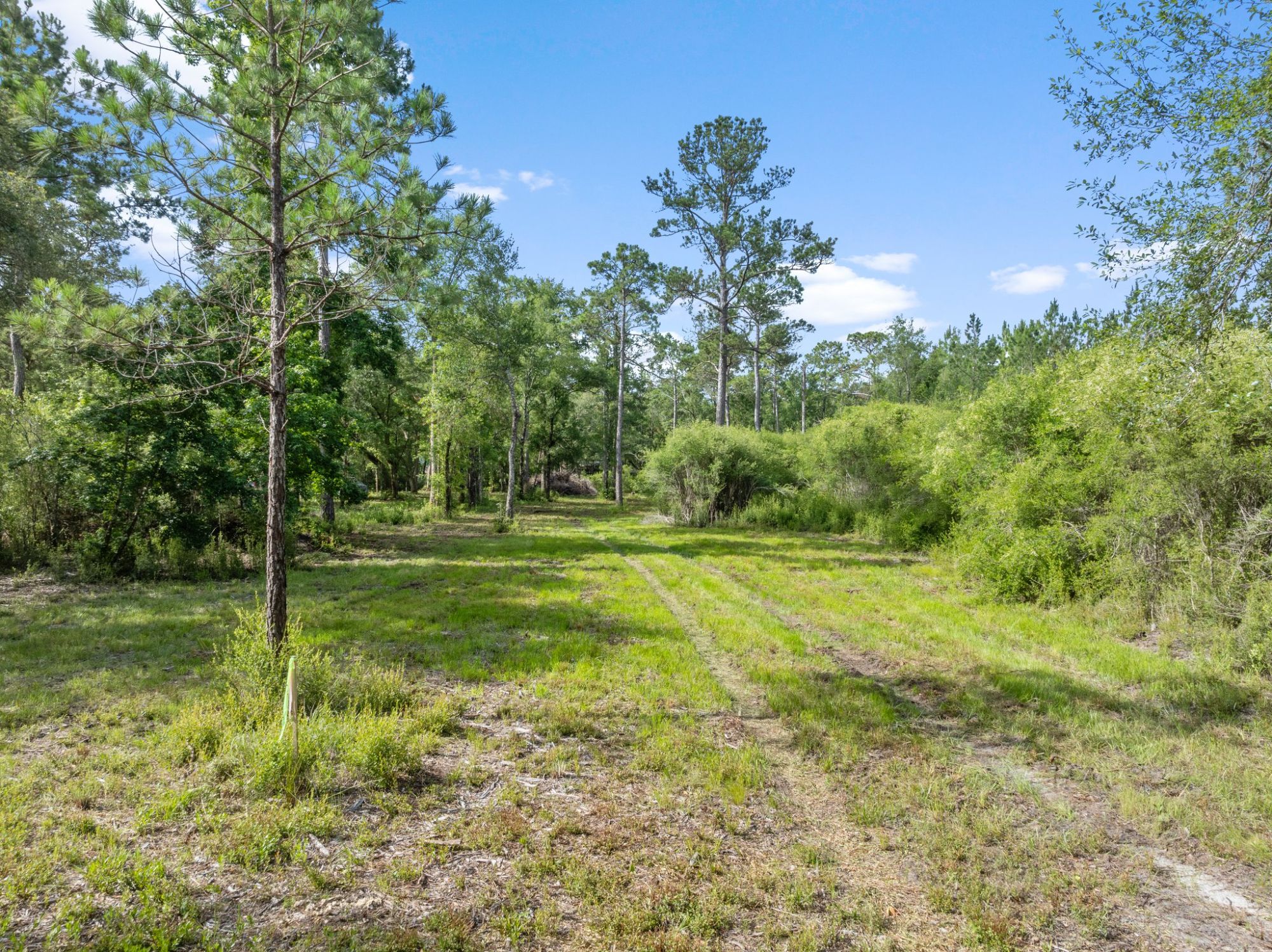 Lot image 9