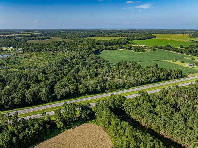 13.45± Acres | Beautifully Wooded Tract image