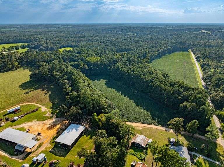 74.55± Acres | Cropland | Timber | Home image